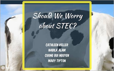 STEC Community Presentation Title Page